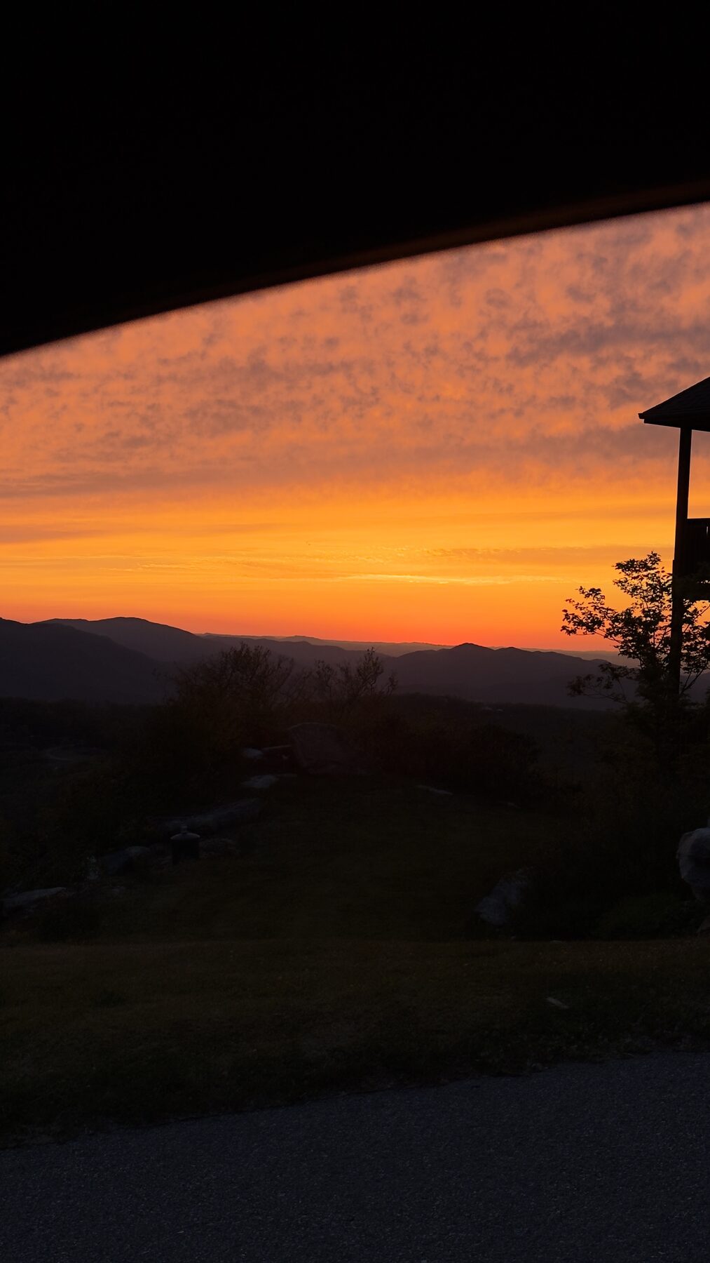 Exhibit D: sunset taste